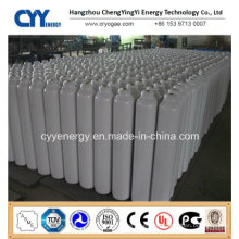 High Quality and Low Price Liquid Nitrogen Oxygen Argon Carbon Dioxide Seamless Steel Cryogenic Cylinder